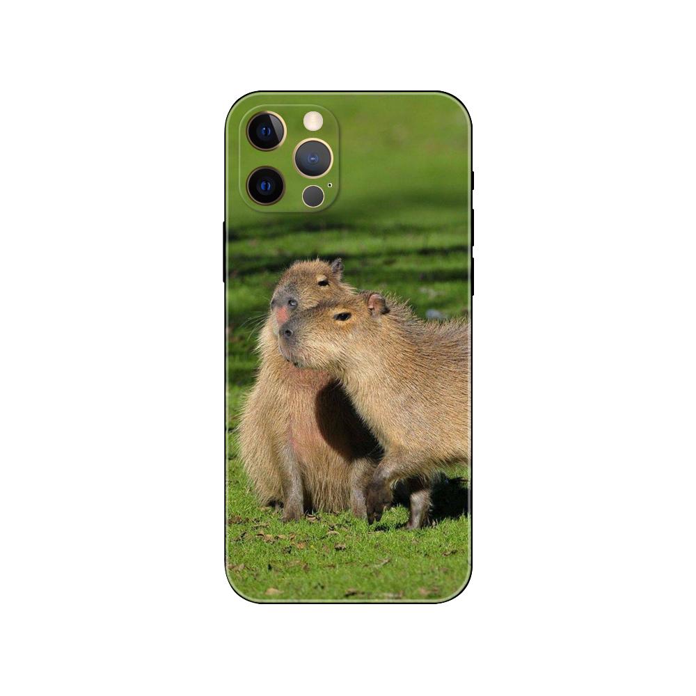Capybara pouzdro na telefon pro iPhone 5 5s 2020se 6 6s 7 8 plus x 10 XR XS 11 12 13 mini pro MAX černý zadní kryt TPU