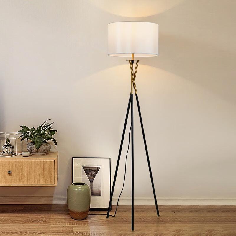 Pailide Minimalist LED Floor Lamp