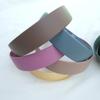1 Set of 10 Pastel-toned Plain Matte Plastic Headbands