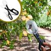 Portable Scissor-Type Transparent Queen Bee Catcher