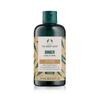 Ginger Scalp Care Shampoo 250ml