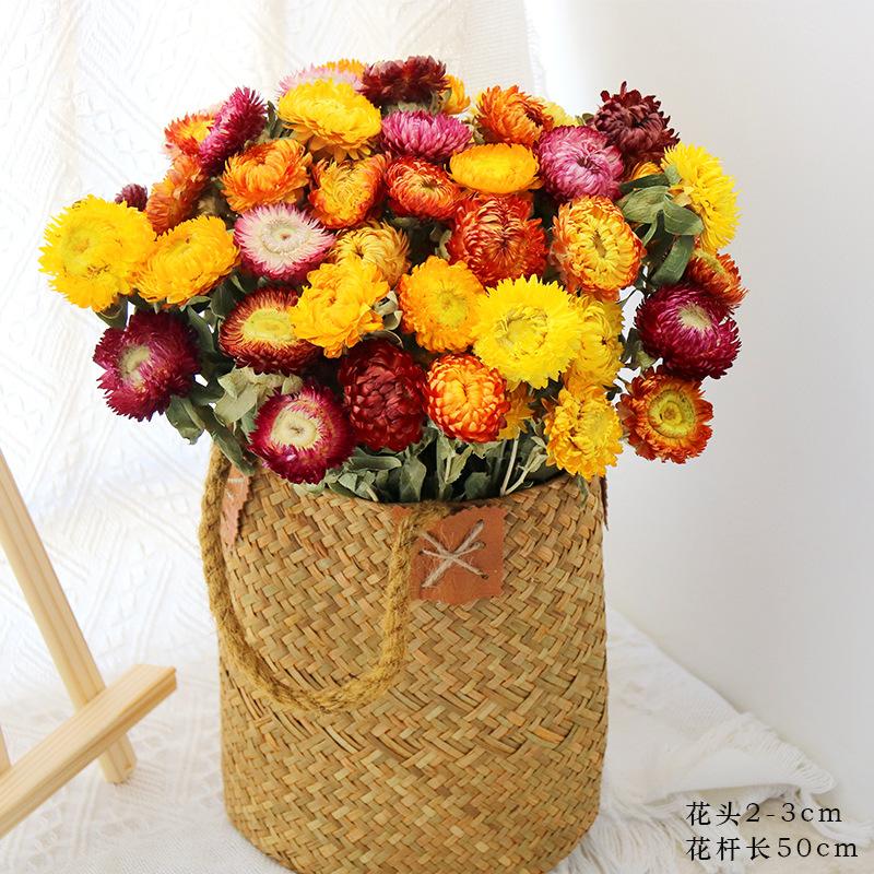 Daisies dried flower bouquet decorative ornament shooting props natural real flower arrangement bedroom dried bouquet