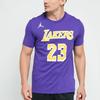 Jordan T Shirt Men's Garden Purple CV9987-551