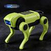DIY Educational Bionic Robot Dog: Mechanical Science Experiment Kit for Kids
