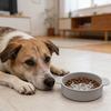 Tigela Alimentadora Lenta para Cães Prato de Comida Lenta para Cães Tigela de Silicone para Comida de Pet Previne Engasgos para Cães e Gatos que Comem Rápido