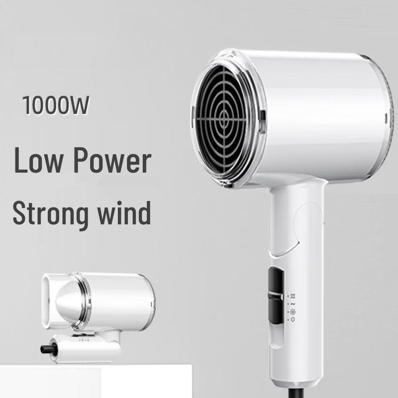 LISM Professional Negative Ion Hair Dryer