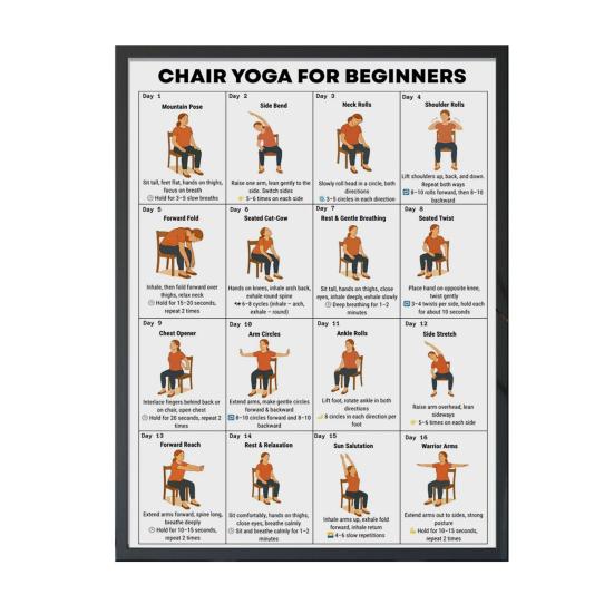 Chair Exercise Poster Seated Workout Chart Gentle Chair Yoga Movements Low Impact Exercise Guide for Seniors Beginners