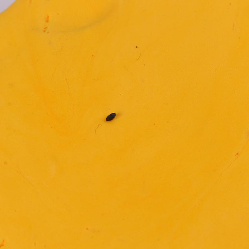 500g Super Leichter Weltraumknete-Set für DIY-Bastelarbeiten - Enthält Werkzeuge & farbige Knete für Kinder