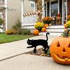 Durable Halloween Yard Signs Garden Stake, Black Cat Sign with Glow-in-the-dark Easy Installation Stakes Eyes, Waterproof Spooky Ghost Silhouette for