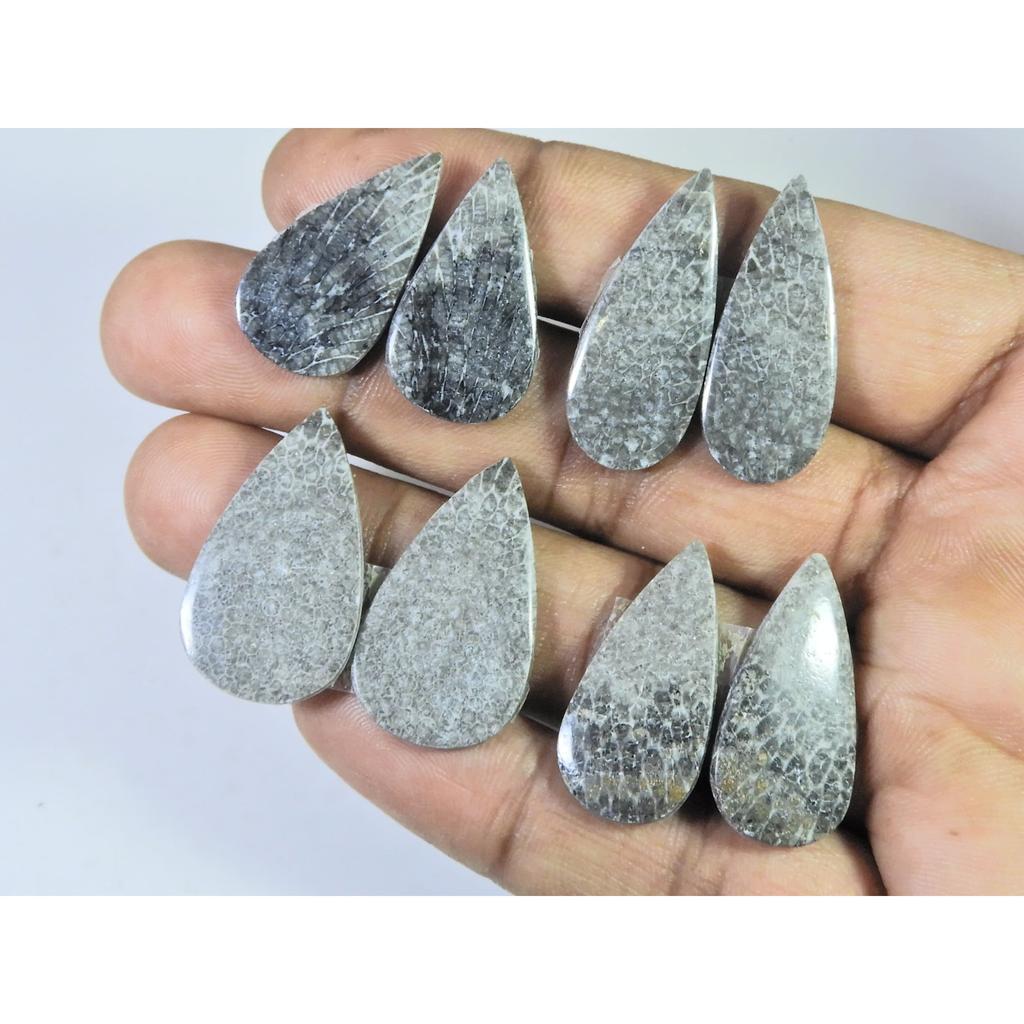 Natural Black Fossil Coral Matched Pair Pear Cabochon Gemstone 4 Pair Lot C-1857