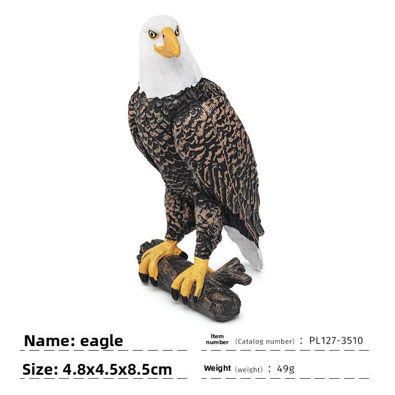 Realistic Bird Model Pvc Owls Eagles Parrots And Woodpeckers For Childrens Educational Decor