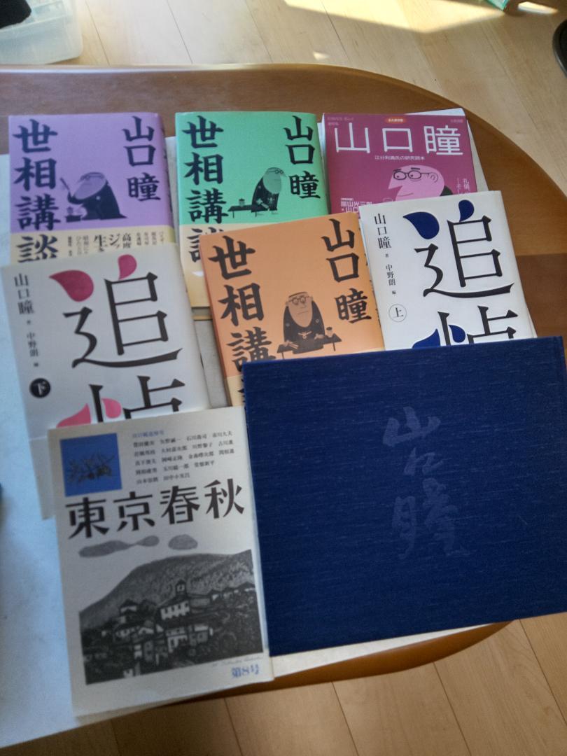 

[USED] Yamaguchi Hitomi Collection Private Edition Album and other rare items