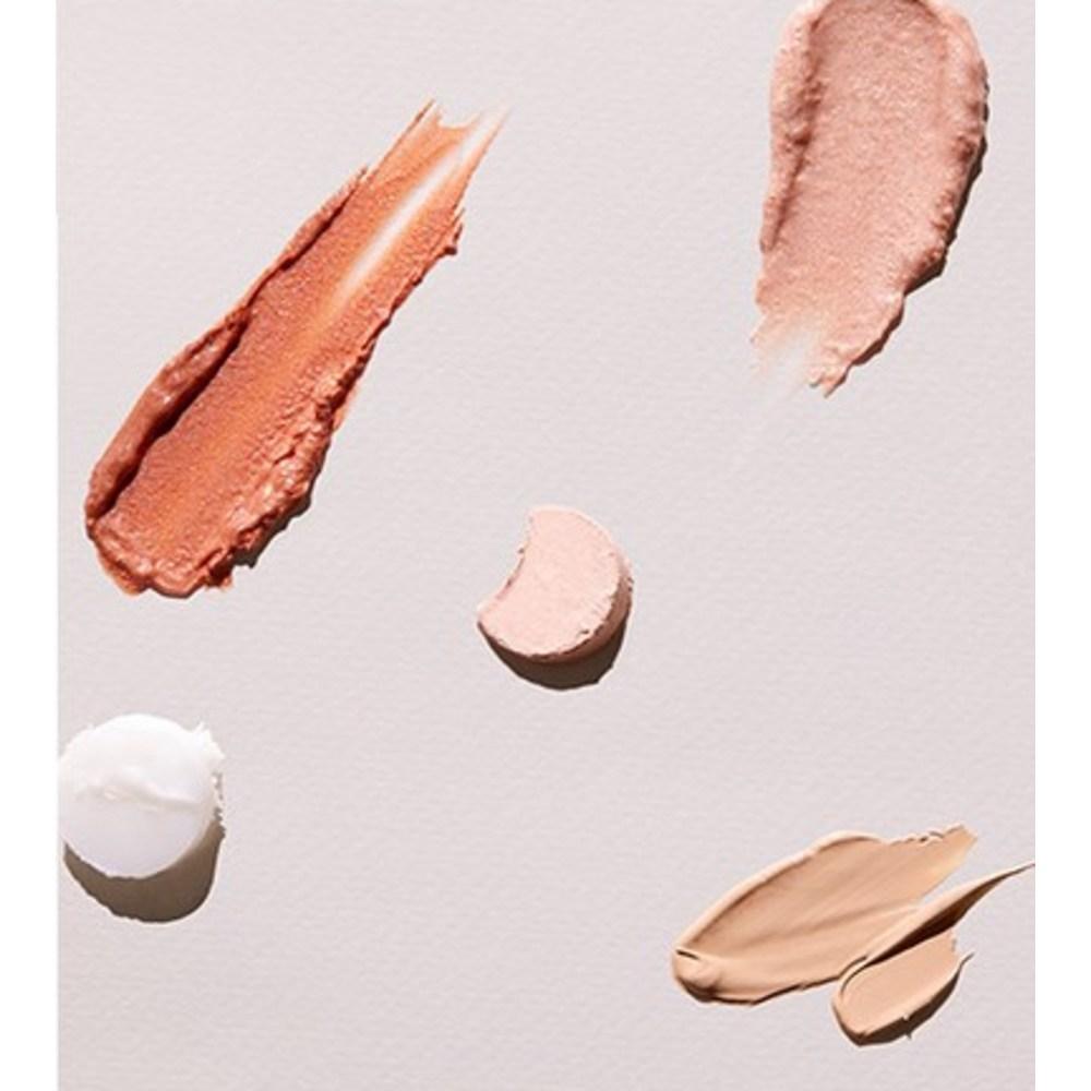 The Face Shop Fmgt Ink Lasting Stick Primer, 1 Piece