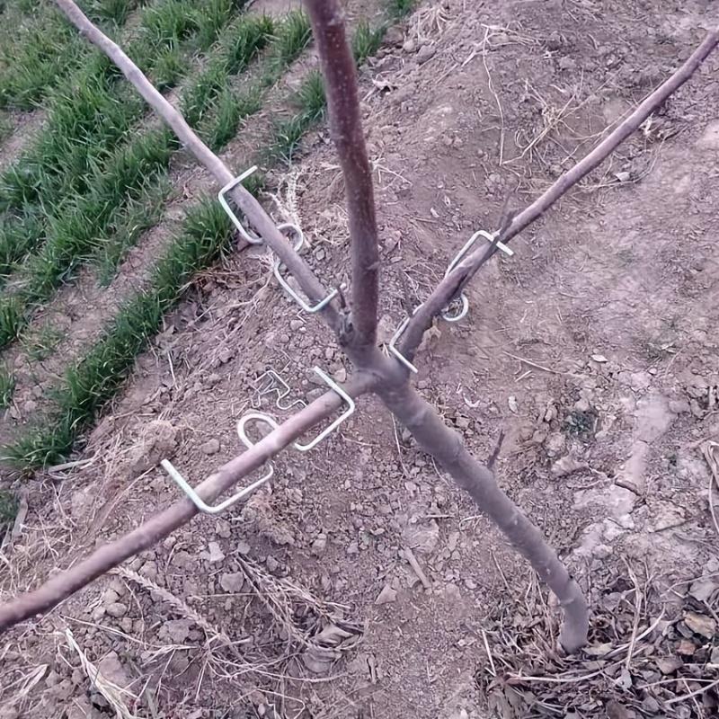 12cps, Obstbaum-Astformer, Astaufhänger-Abzieher, zum Formen von Obstbaumzweigen, Astbiegewerkzeug