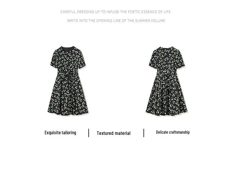 Elegant Slimming Printed Chiffon Dress - 2024 Summer Collection