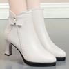 Autumn Women's Platform Shoes New Plus Velvet Stiletto Heel Heeled Ankle Boots Winter Keep Warm Bow Tie Short Boots