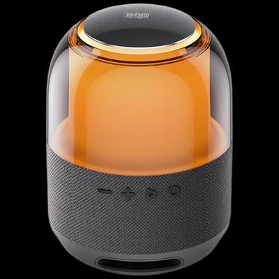 Xiaodu Smart Portable Speaker with RGB Lighting CN Plug (adapter Included)