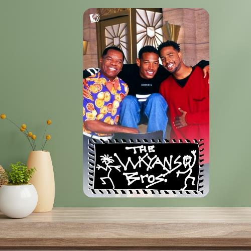 The Wayan Bros Classic TV Show Metal Poster Sign 20x30cm（7.8x11.8inch）