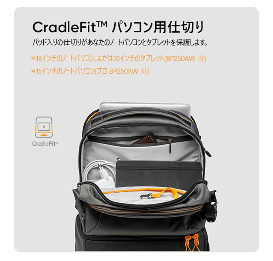 Lowepro Fast Pack BP250AW III Rucksack, Grau, bietet Platz für 13 Zoll PC, Regenschutz inklusive, 27,6 l, LP37332-PWW