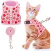Cat Harness with Anti-Escape Leash - Fashionable Mesh Cat and Dog Walking Harness Leash(AAA)