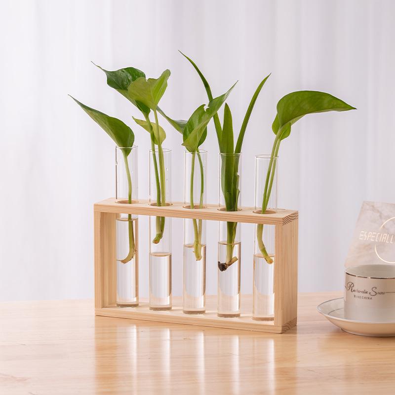 Creative Wooden Hydroponic Shelf Vase: Hanging Glass Ornament for Plant Decoration