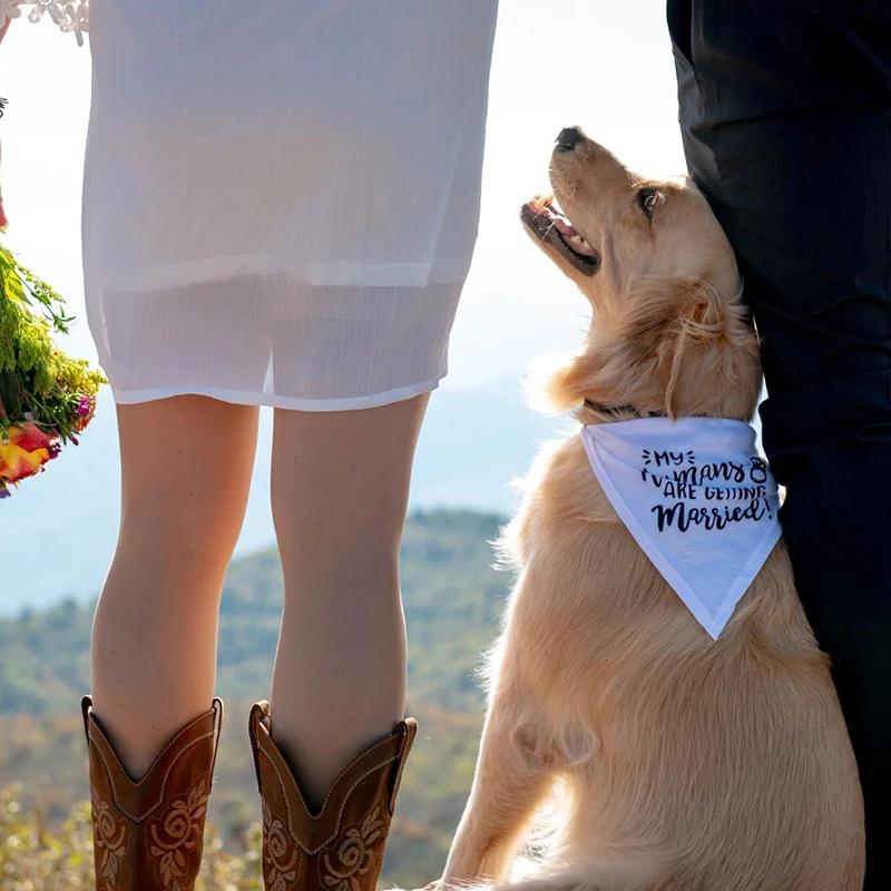 I miei Umani si Sposano Bandana per Cane Sciarpa per Animali Annuncio di Matrimonio Fidanzamento Decorazione per Bridal Shower Regalo per Servizio Fotografico
