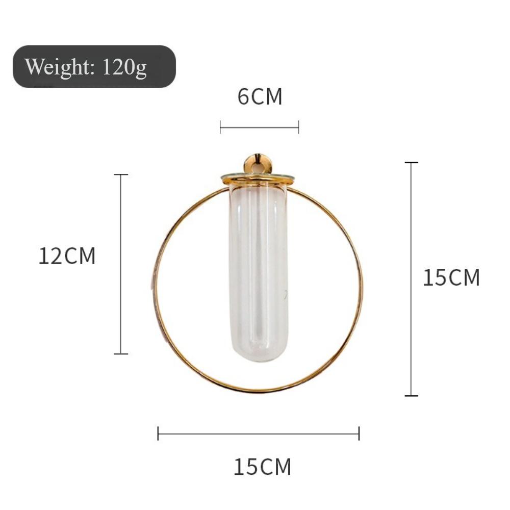 Nordic Wall Mounted Geometric Shaped Iron Test Tube Glass Vase Creative Hydroponic Plant Vase Home Office Decoration