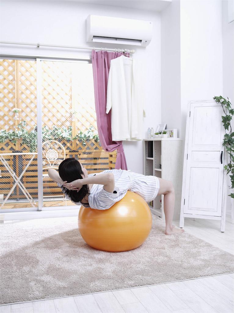 ALINCO Exercise Ball 55cm WBN055D (Orange)