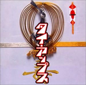 

CD - Tie Ups PCCY01020 Japan ObiMusic Others Used