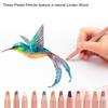 12 Zerodis Pastel Professional Color Charcoal Pencils Portrait Pastel Pencils for Layering and Pencils, Sketching, Shading, Coloring, Blending.