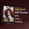 BBLUNT Salon Secret High Shine Conditioning Hair Colour Mahogany Reddish Brown 130G Pack Of 1