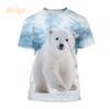 Full Print Animal Polar Bear Graphic T-Shirt For Men Summer Short Sleeve Oversized T Shirt Kids Tees Tops Clothes