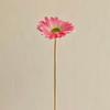 Texture Pu Gerbera Chrysanthemum Simulation Flower Fake Flower Arrangement Dry Flower Bouquet Living Room Decoration Floral