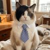 Funny Cat Headdress Eye-catching Pet Striped Tie Straight Hair Pet Side Bangs Pet Party