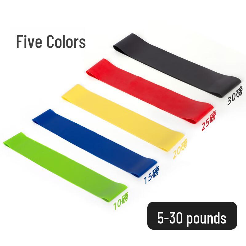 Zhuique H5 Leg Strength Resistance Band Set