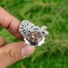 Gift For Women Statement Adjustable Ring 925 Silver Natural Turritella Agate