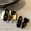 Wildleder Maillard Square Toe Dicke Ferse Slipper Damen Frühling und Herbst Neue High-End Einzelne Schuhe Mary Jane Damenschuhe