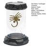 Facehugger Popcorn Bucket LED Alien Octopus Tentacles Stasis Chamber Tank Gotycka dekoracja pulpitu Wystrój domu