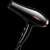 Professional Blue Light Hair Dryer