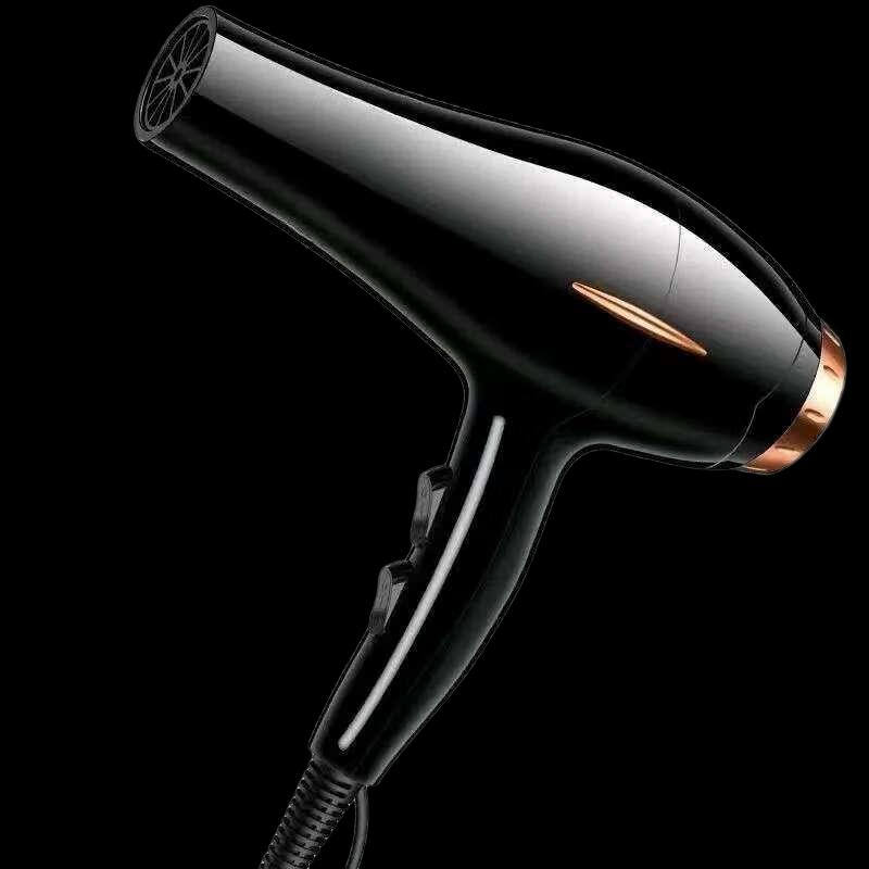 Professional Blue Light Hair Dryer