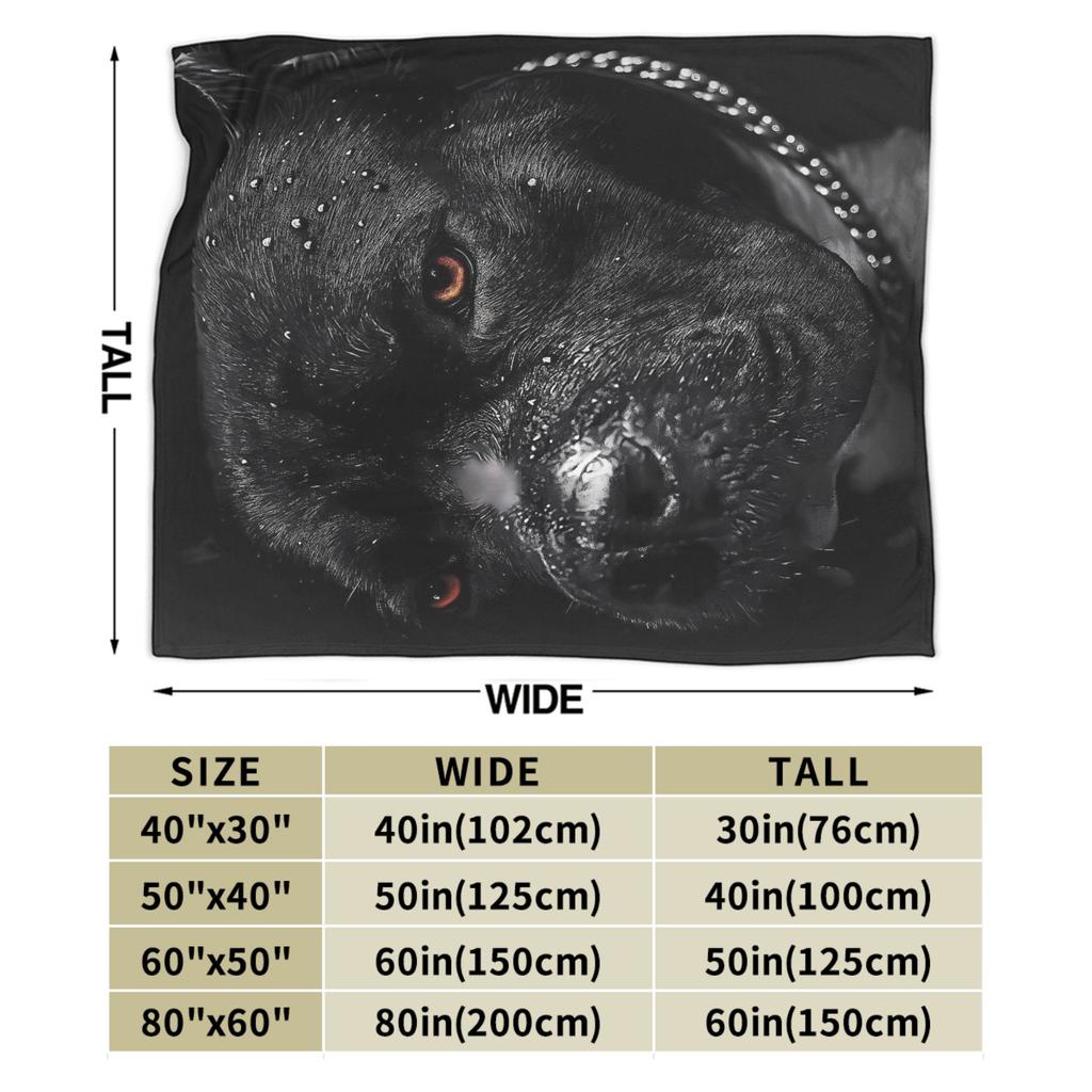 Cane Corso Flanelldecke Weiche Überwurfdecke für Sofa Sessel Flugzeugreise Flauschige Tagesdecke Sofa Bettbezug