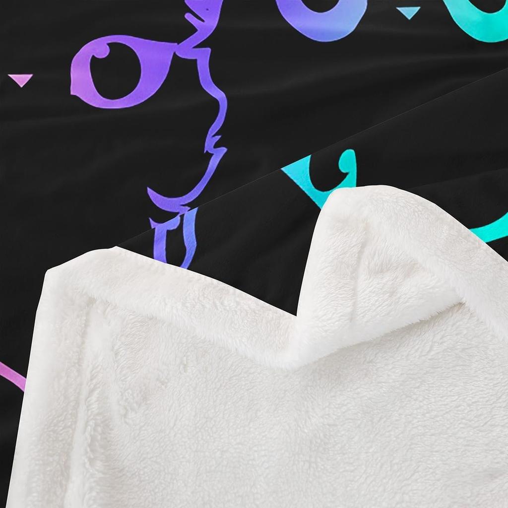 Rainbow Cat Outline Throw Blanket Neon Design for Modern Living Room Decor PetLoverGift Gift for Her