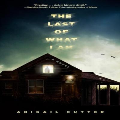 The Last of What I Am by Abigail Cutter Paperback Book 9781454951780
