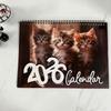 2026 Cat Calendar - Cat-Themed Calendar - Daily Weekly Monthly Planner Easy Planning for Planning Scheduling & Organizing