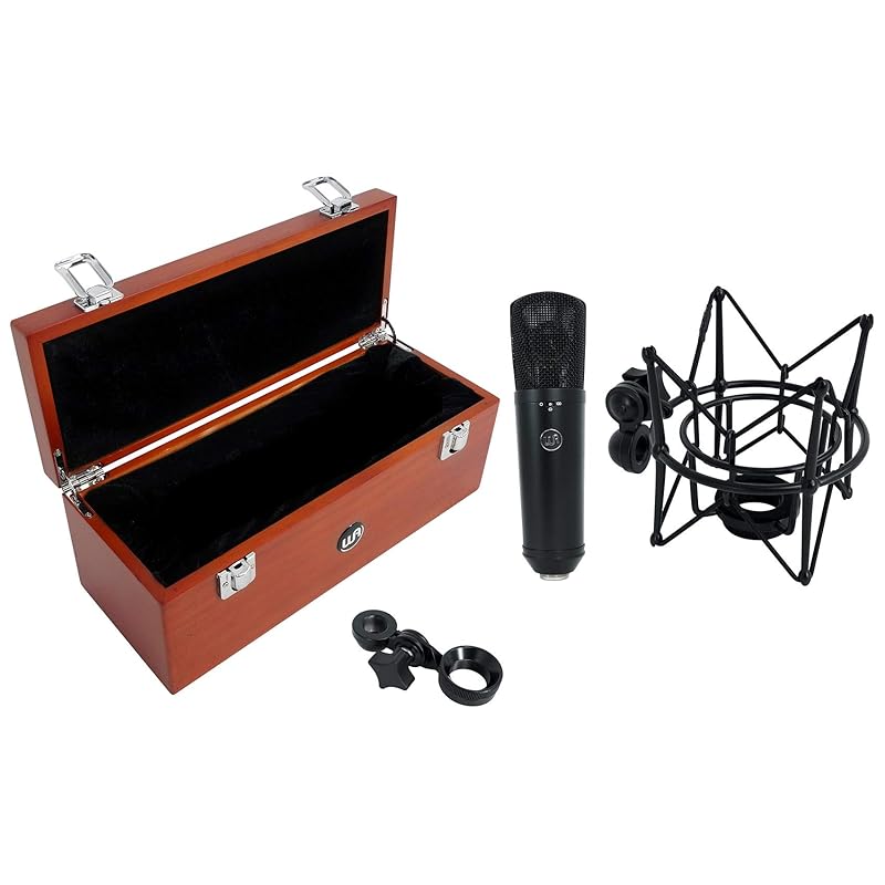 

WARM AUDIO (warm audio) FET condenser microphone WA-87 R2 Black