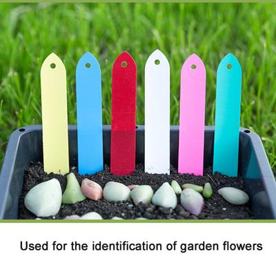 Utile superficie liscia contrassegnata piante resistente allo sbiadimento cartello orticolo terreno etichetta pianta succulenta fornitura giardino etichetta pianta