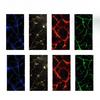 Easy Installation Car B-Pillar Decal Waterproof Decal