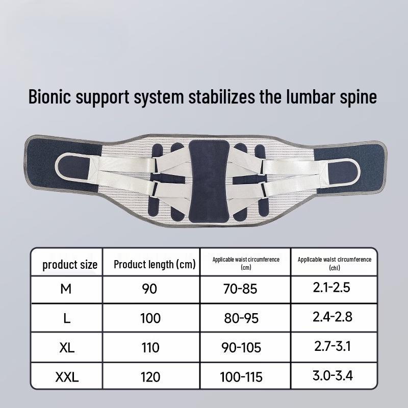 Tingbai Breathable Mesh Sports Lumbar Support Belt