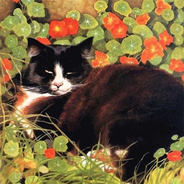 5d Diamond Painting Cat DIY Mosaic Flower Full Round/Square Diamond Embroidery Animal Handicraft Decor For Home