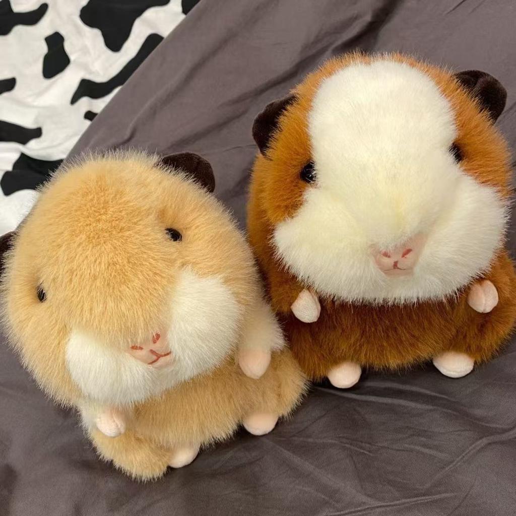 Kreatives neues Meerschweinchen-Puppen-Plüschtier, fettes Wasser-Meerschweinchen, Kinderbegleitpuppe, Mädchengeschenk